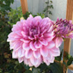 Meet your Posher, Creciendo juntos